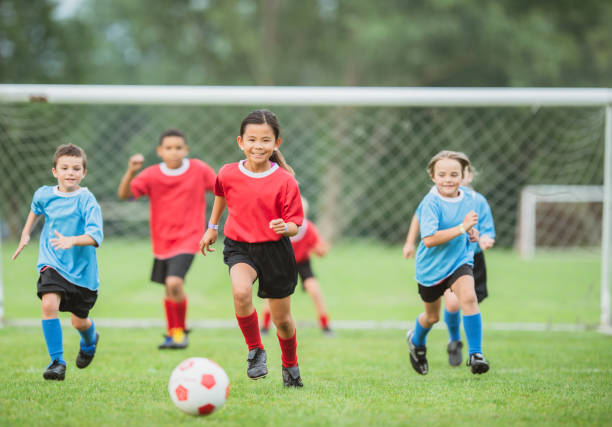 能在回